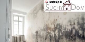 Osuszacz do Piwnicy: Klucz do Suchego Domu