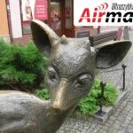 ultraszybki światłowód airmax Jelenia Góra Jagniątków