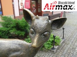 ultraszybki internet airmax Jelenia Góra