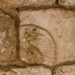 Kamienny relief smoka o antycznym wyglądzie, pełen tajemniczych detali